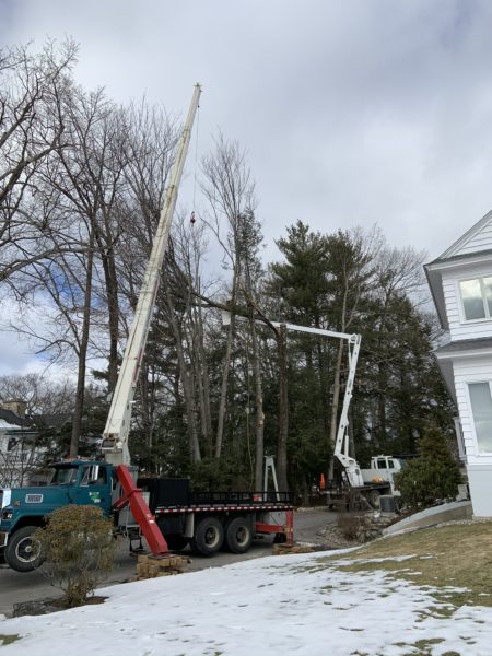 Bucket Truck Tree Work in Wolfeboro