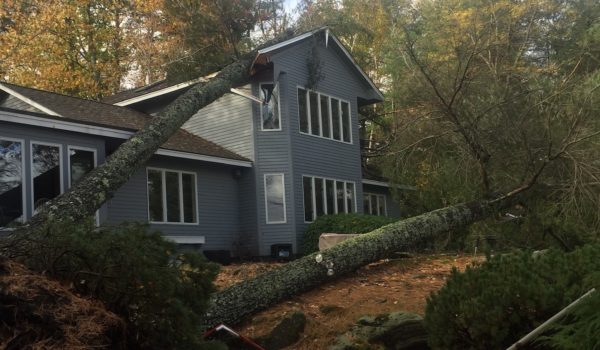 Tree fall on house on Wolfeboro