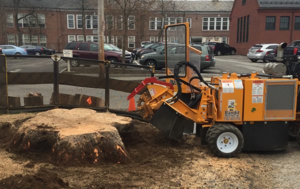 Stemp Grinder in Downtown Wolfeboro