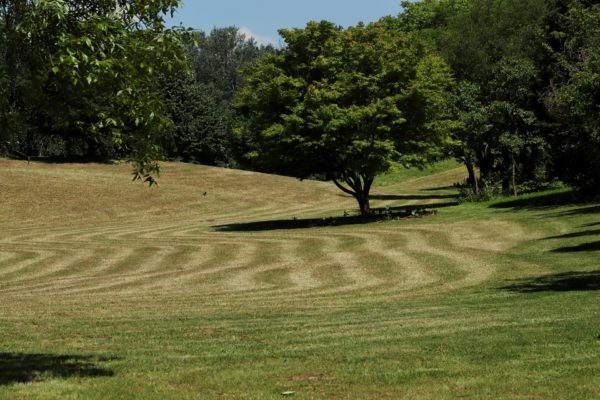 Image of Field Mowing.